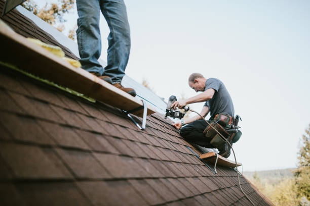 Best Storm Damage Roof Repair  in Paulding, OH